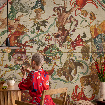 Samolepiaca tapeta Hviezdne kompozície