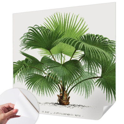 Tapety na stenu samolepiace Exotická palma