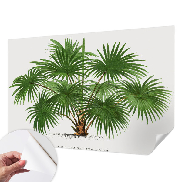 Fotografická tapeta samolepiaca Exotický vzor