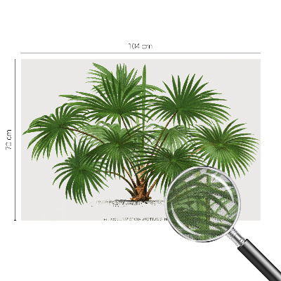 Fotografická tapeta samolepiaca Exotický vzor