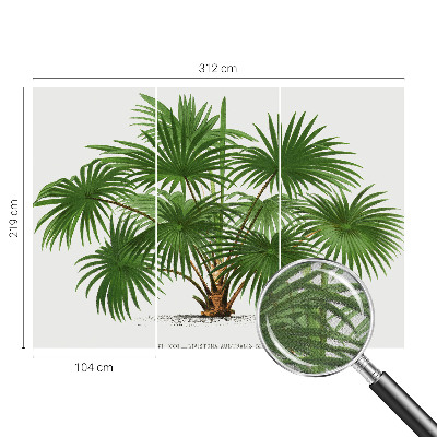 Fotografická tapeta samolepiaca Exotický vzor