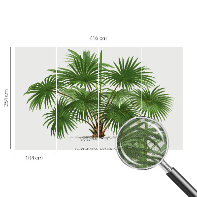 Fotografická tapeta samolepiaca Exotický vzor