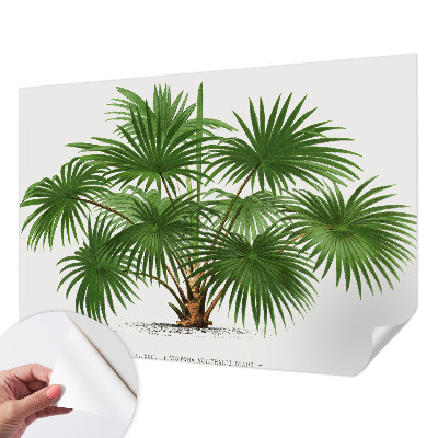 Fotografická tapeta samolepiaca Exotický vzor