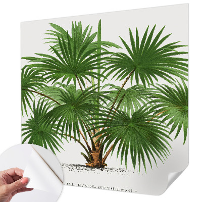 Fotografická tapeta samolepiaca Exotický vzor