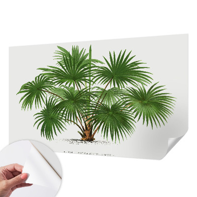 Fotografická tapeta samolepiaca Exotický vzor