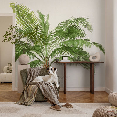 Samolepiaca fototapeta do obývačky Lesklá palma