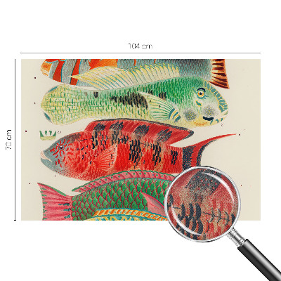 Samolepiaca fototapeta do spálne Exotické ryby