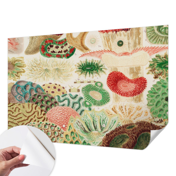 Samolepiaca fototapeta do detskej izby Organické tvary