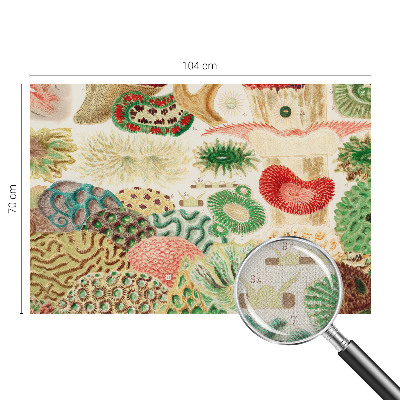 Samolepiaca fototapeta do detskej izby Organické tvary