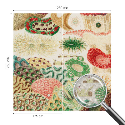 Samolepiaca fototapeta do detskej izby Organické tvary