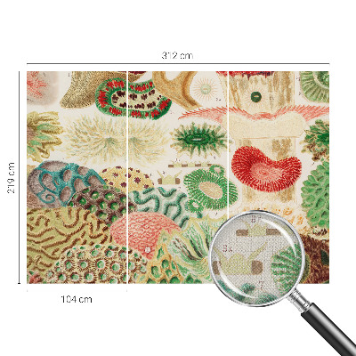 Samolepiaca fototapeta do detskej izby Organické tvary