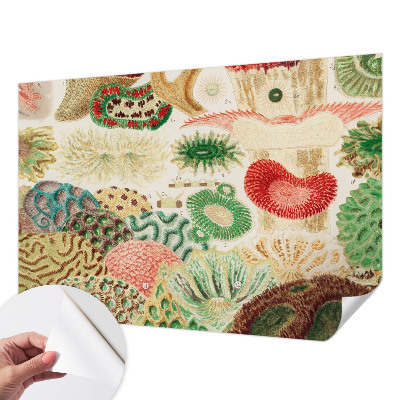 Samolepiaca fototapeta do detskej izby Organické tvary