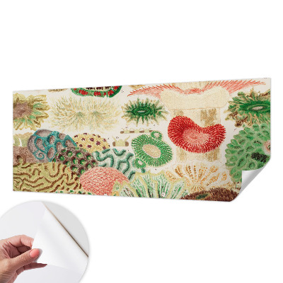 Samolepiaca fototapeta do detskej izby Organické tvary