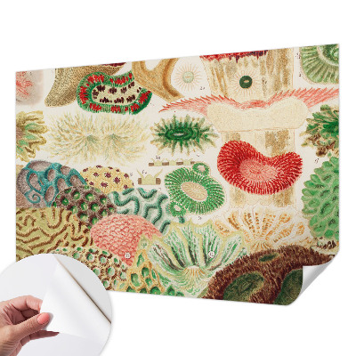 Samolepiaca fototapeta do detskej izby Organické tvary