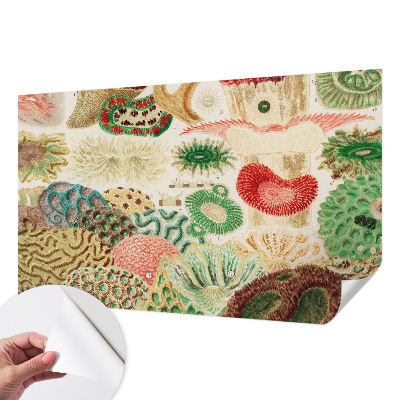 Samolepiaca fototapeta do detskej izby Organické tvary