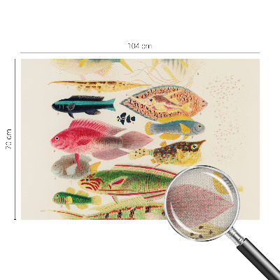 3D fototapeta Farebné ryby