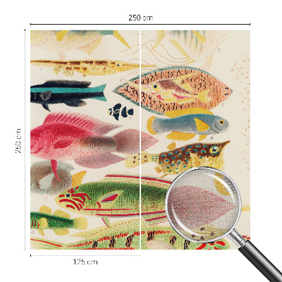 3D fototapeta Farebné ryby