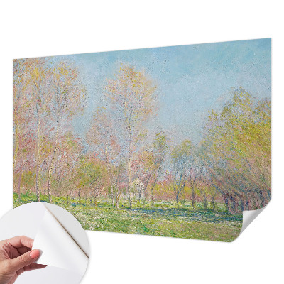 3D tapeta na stenu Jarný park