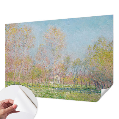 3D tapeta na stenu Jarný park