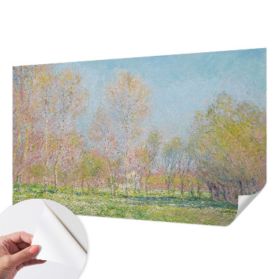 3D tapeta na stenu Jarný park