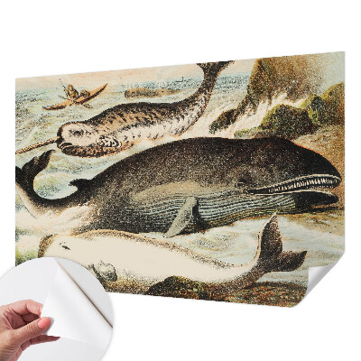 Samolepiaca tapeta Morskí obri