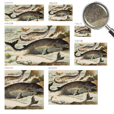 Samolepiaca tapeta Morskí obri