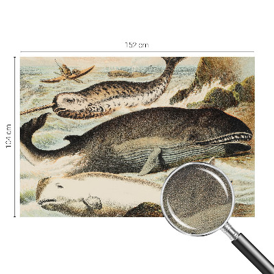 Samolepiaca tapeta Morskí obri