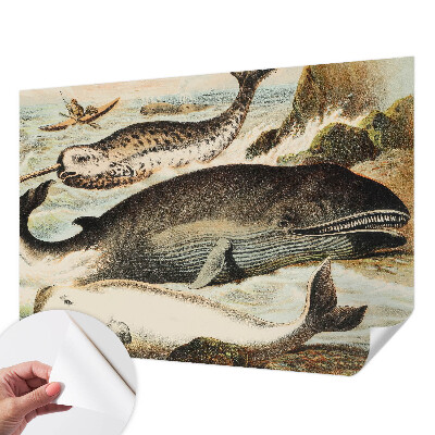 Samolepiaca tapeta Morskí obri