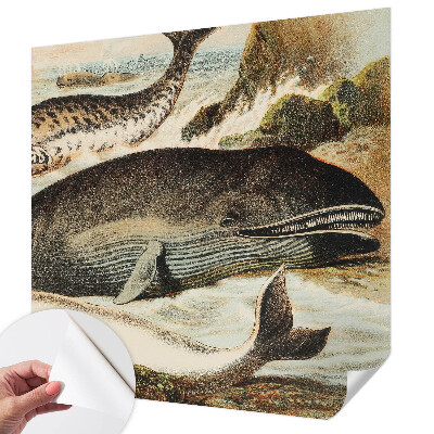 Samolepiaca tapeta Morskí obri