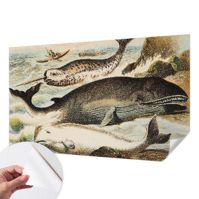 Samolepiaca tapeta Morskí obri