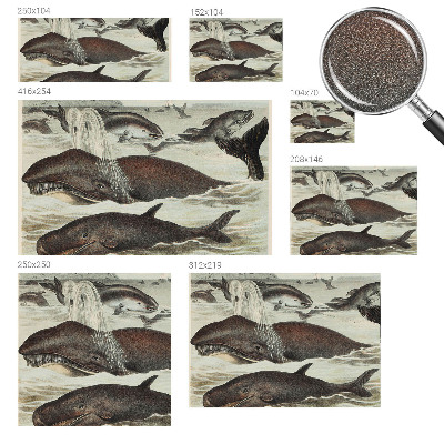 Tapety na stenu samolepiace Morské tvory