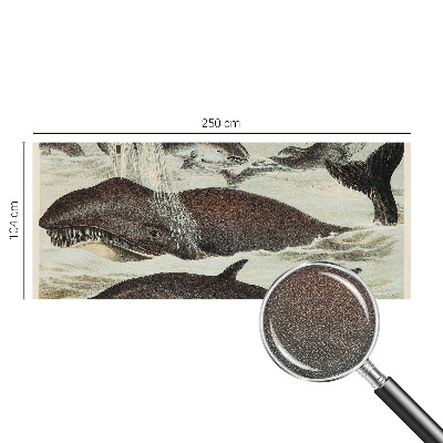 Tapety na stenu samolepiace Morské tvory