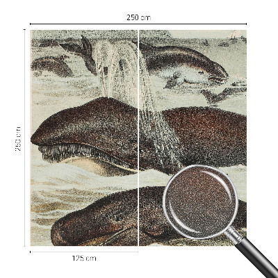 Tapety na stenu samolepiace Morské tvory