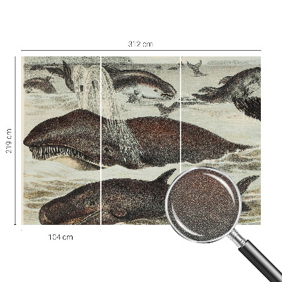 Tapety na stenu samolepiace Morské tvory