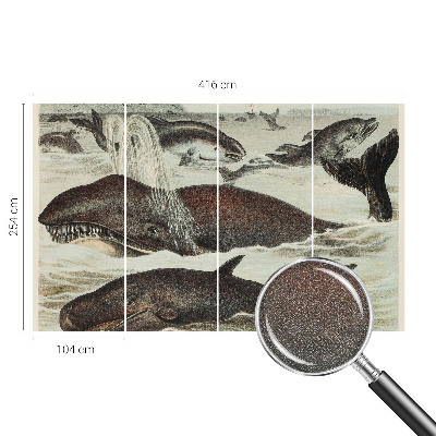 Tapety na stenu samolepiace Morské tvory