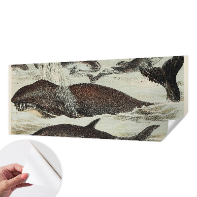 Tapety na stenu samolepiace Morské tvory