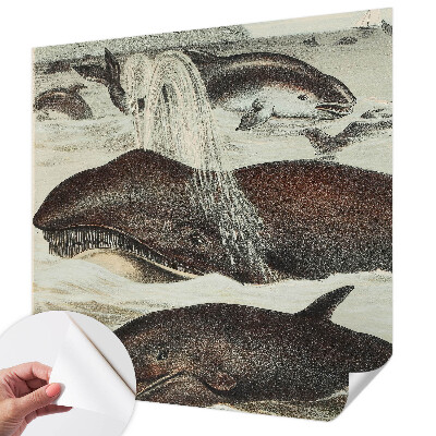 Tapety na stenu samolepiace Morské tvory