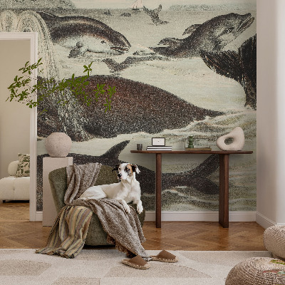 Tapety na stenu samolepiace Morské tvory