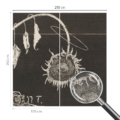 Samolepiaca fototapeta do spálne Nostalgická slnečnica