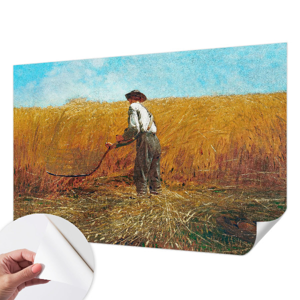 3D tapeta Zber na slnku