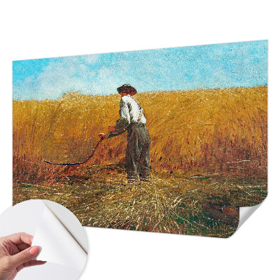 3D tapeta Zber na slnku