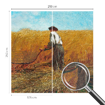 3D tapeta Zber na slnku