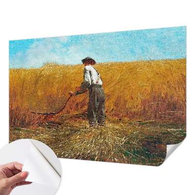 3D tapeta Zber na slnku