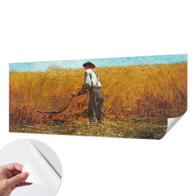 3D tapeta Zber na slnku