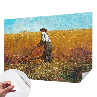 3D tapeta Zber na slnku