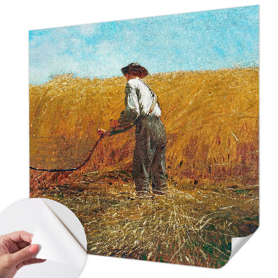 3D tapeta Zber na slnku