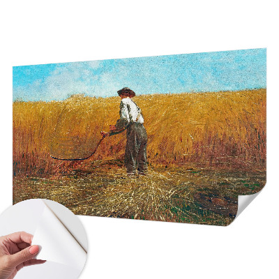 3D tapeta Zber na slnku