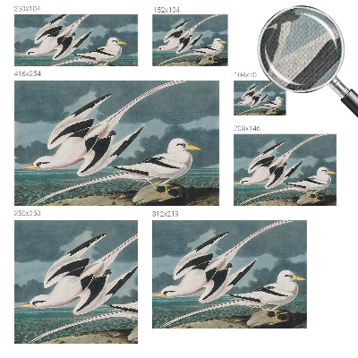 Samolepiaca tapeta Vtáky pri mori