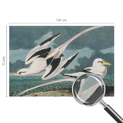 Samolepiaca tapeta Vtáky pri mori