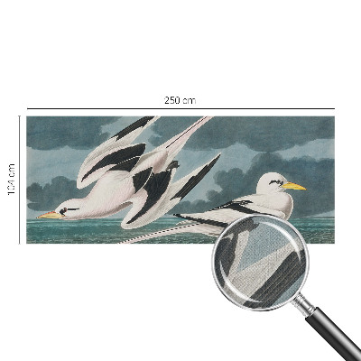 Samolepiaca tapeta Vtáky pri mori